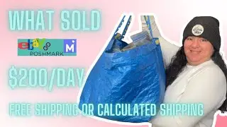 How These Items Help Me Earn $200 Daily From Ebay And Poshmark Sales! What Sold?