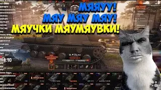 ВАЛАКАС ЖОСКА ПОПУСКАЕТ ТАНКИСТОВ | СУХАЧ И МИША | ПОЖИЛОЙ КОТ