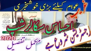 How to apply Ehsaas Scholarship Program?