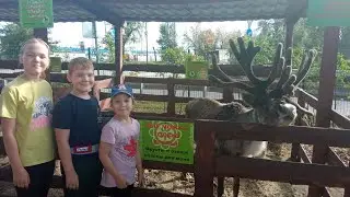 🐇 КОНТАКТНЫЙ ЗООПАРК🐎 ОТДЫХ С ДЕТЬМИ🐇ЛЕТО 2022🐎