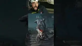 I REALLY HATE JUMPSCARES