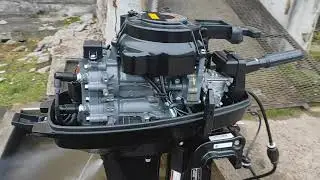 Suzuki DT9.9AS