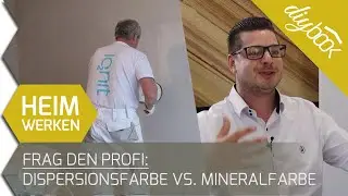 Frag den Profi: Dispersionsfarbe vs. Mineralfarbe - Das Interview
