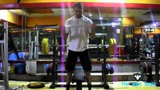 Barbell  Standing  Wide grip Curl