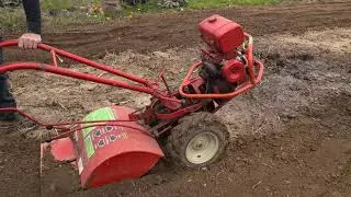 #43 1980 Troy-Bilt (Gardenway) Tiller putting in work!
