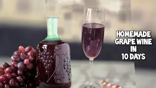 10 ദിവസത്തിൽ പെർഫെക്ട് ഗ്രേപ്പ് വൈൻ |Grape wine in 10days #icitastebuds #grapewine