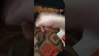 на самом деле у меня просто руки после рыбалки пахнут рыбой,он пытается на них охотится #edm #музыка