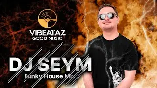Monkey Funky Groove - DJ Seym (Funky House)