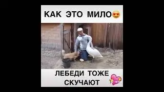 чувство юмора