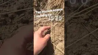 УДИВИЛСЯ НАХОДКЕ!!!