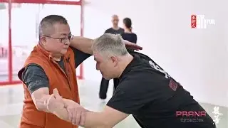 Prana Dynamics: A Journey Within
