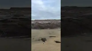 Cape Patterson Beach, Victoria, Australia