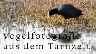 Vogelfotografie aus dem Tarnzelt