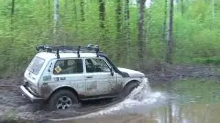 20.05.2017 внуковская жесть