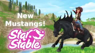New Mustang Star Stable Review!