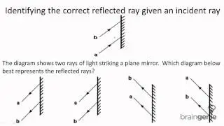 Physics 7.3.3.2 Identifying the correct reflected ray given an incident ray