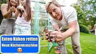 XXL Enten Küken Gehege bauen 😍🐥 Neue Küchenmaschine zum Grillen! Mamiseelen