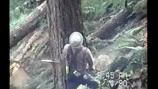 Logging Olympic Peninsula 1