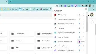 Adding and Managing Chrome Extensions