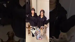 X:IN × Jogi ji 🫧🐶🐱🐹 X 🦦🐯🫧 #xin #esha #aria