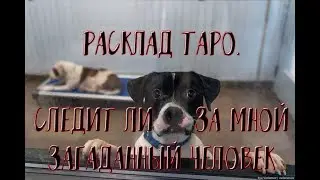 Расклад Таро. Следит ли за Мной загаданный человек