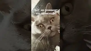 чё