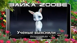 Зайка Zoobe  Ученые выяснили  ...