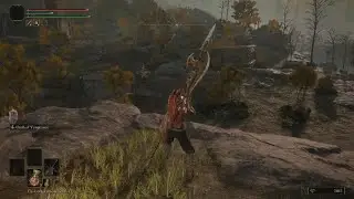 Kane Takes A Tumble lol - ELDEN RING