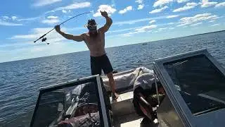 Окунь на Чудском озере . Рыбалка с папой.
