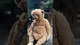 #teddy #bear #cute #ooak #animals #funny #ooaktoy #мишкатедди #онлайнкурсы