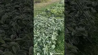Как выглядят наши хосты в октябре