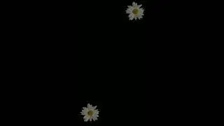 [🌼] - Ленивое видео.. #gacha #гача #гача_лайф #gachaclub #гачаклуб #гачалайф #gachalife