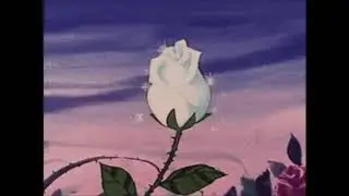 Money Trees (Kendrick Lamar) slowed/reverb