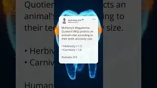 Teeth MQ says 🥩