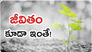 Game of Life, Be Fearless.. | Telugu Motivation | Voice Of Telugu