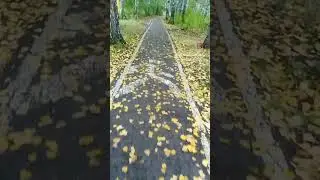 Прекрасная осень❤️Всё будет даже лучше, чем ты можешь представить в своих самых заветных мечтах... 💯