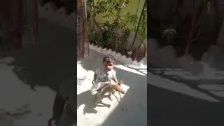 lado ki Masti 😃😃🤪 #