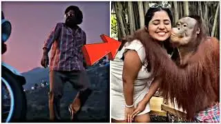 pushpa V/S gorilla dance video😀