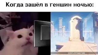 ТИК ТОК ГЕНШИН ИМПАКТ №147 / GENSHIN ІМРАСТ ПОДБОРКА