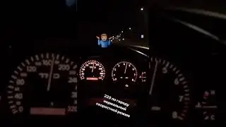 220 погороду чайзер турик вешка