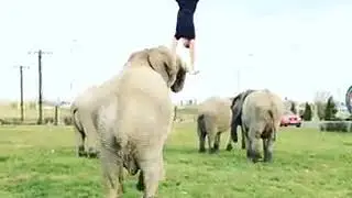 👍👍👍👍👍👍👍👍👍👍😊😊😊😊