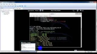 finde phpmyadmin in kali linux