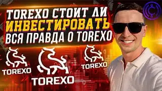 Torexo стоит ли инвестировать? Вся правда о Торексо!
