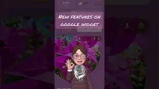 New Google Widget 