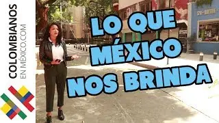 Lo que México me ha dado | Emigrantes Parte 4 - Vilma