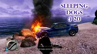 Sleeping Dogs №20