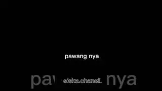 pacarnya ganteng*semu||short