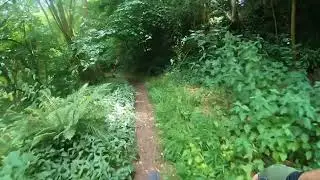 Testing Gopro Chesty V2 Mount