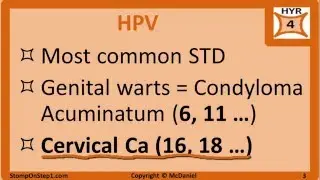 HPV, Parvovirus B19 & Adenovirus: Cervical Cancer, Fifths Disease, Warts, Slapped cheek, Koilocyte