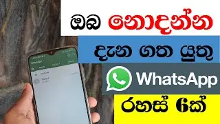 WhatsApp Top 6 Tricks 2021 | Info dotnet